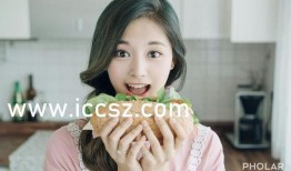 热点黑料免费 明星黑料大全,热点黑料大揭秘，明星黑料大全盘点