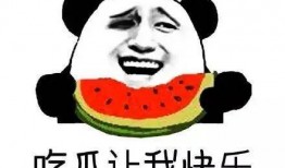 朝阳吃瓜群众一枚的微博,揭秘微博背后的热点风云